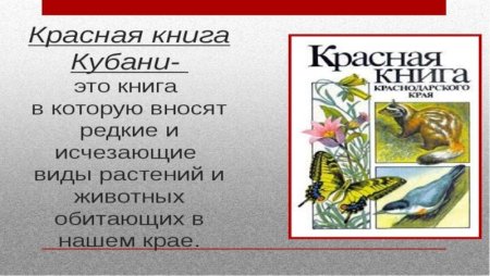 Животные красной книги Краснодарского края