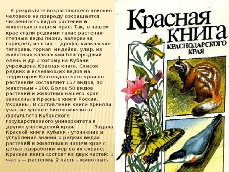 Тигр Графика детские рисунки