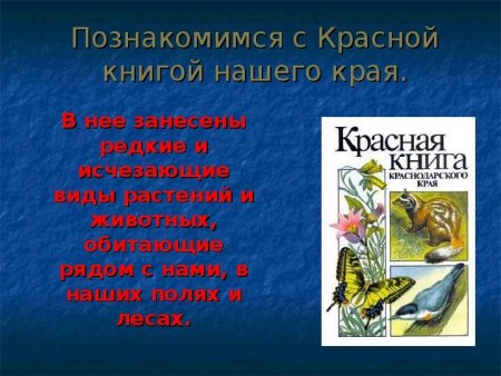 Рисунок животного из красной книги Краснодарского края
