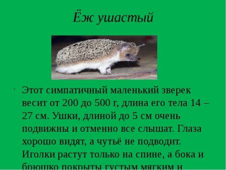 Детские рисунки рыси
