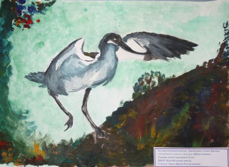 Птицы Карадагского заповедника