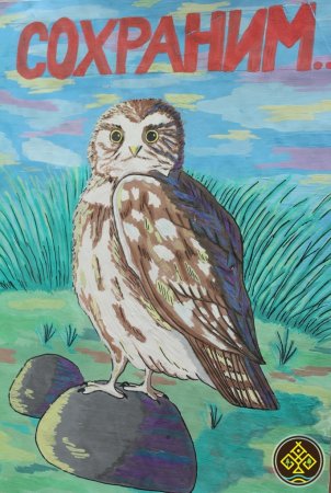 Мир заповедной природы плакат