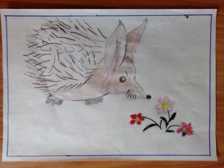 Редкие животные рисование