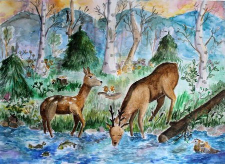Рисунки природы
