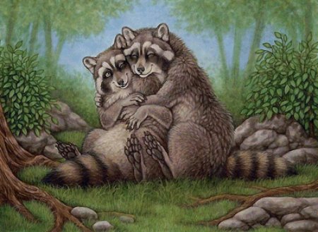 Еноты обнимаются