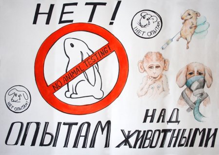 Плакатэ защита животных