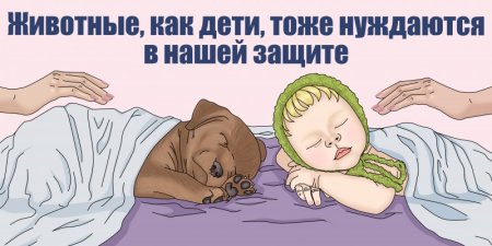 Плакат против жестокого обращения с животными