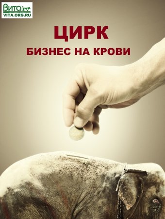 Цирк без животных