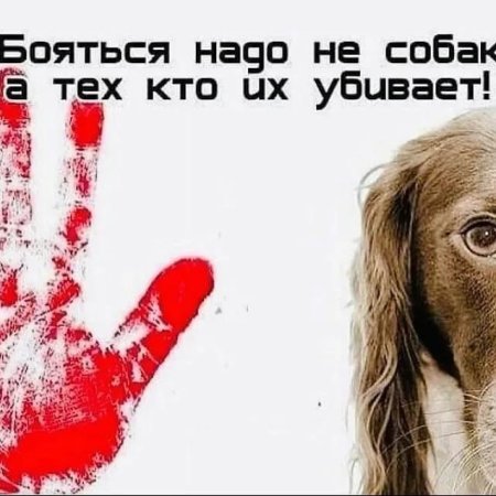 Плакат не убивайте животных
