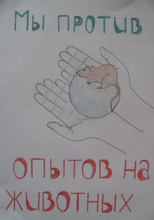 Мы против опытов над животными