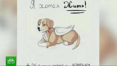 Против живодеров