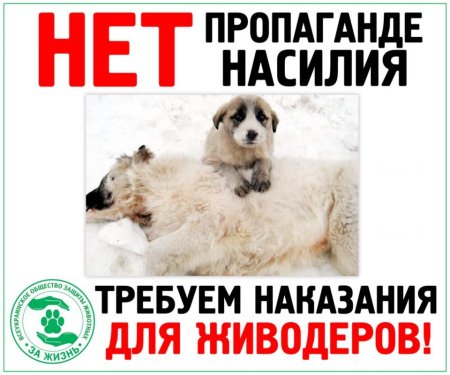 Наказать живодёра картинки