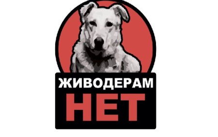 Плакат по защите животных