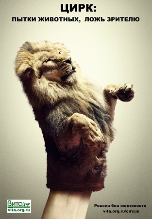 Защита животных Постер