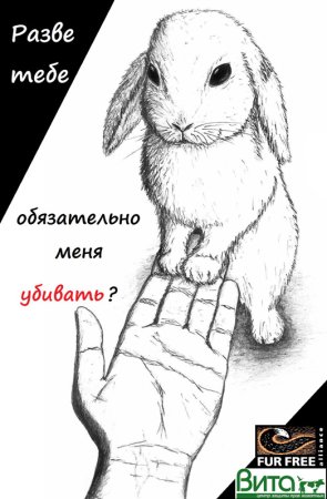 Плакат про животных