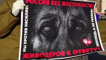 Плакат против насилия над животными