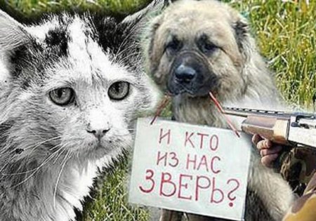 Защита животных рисунок