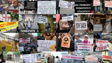 Защита животных Постер