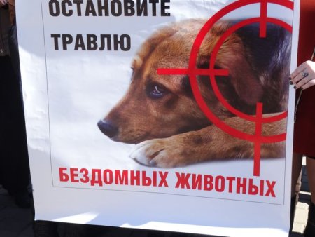 Плакат против жестокого обращения с животными