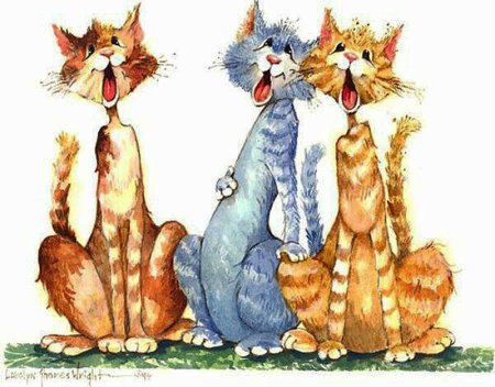 Поющие коты