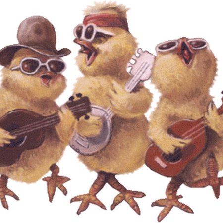 Птицы поют открытки