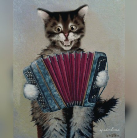 Кот с гармонью