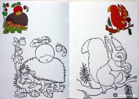 Книжки малышки про животных