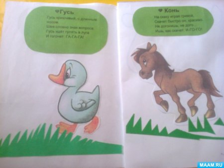 Выставка рисунков Дикие животные