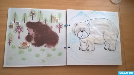 Книжка про лесных животных своими руками: 2 тыс изображений найдено в Яндекс Картинках