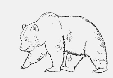 Отряд всеядные