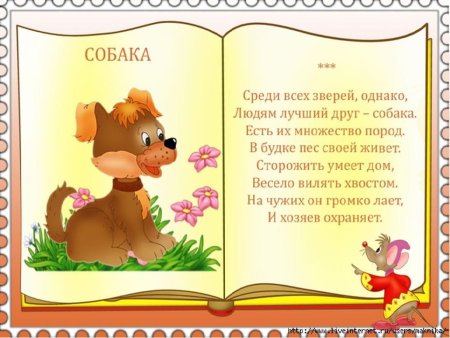 Собака самый преданный друг человека