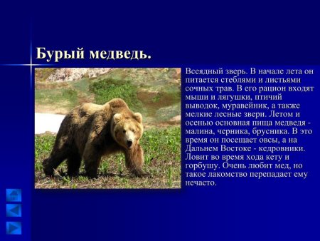 Хищники и травоядные