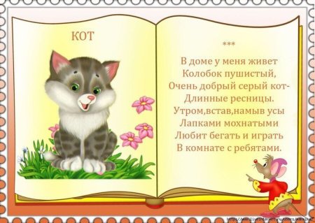 Собака самый преданный друг человека