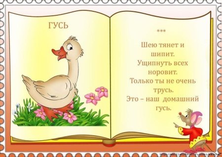 Собака самый преданный друг человека