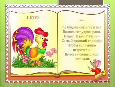 Собака самый преданный друг человека