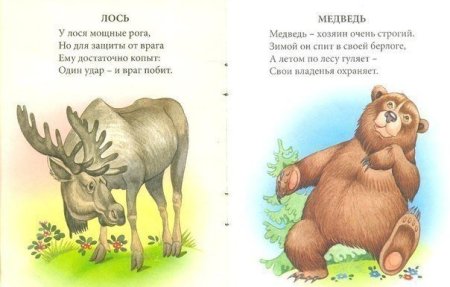 Собака самый преданный друг человека