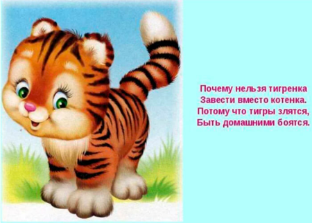 Собака самый преданный друг человека