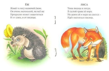 Собака самый преданный друг человека