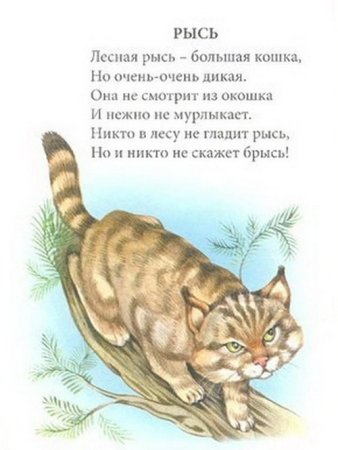 Собака самый преданный друг человека