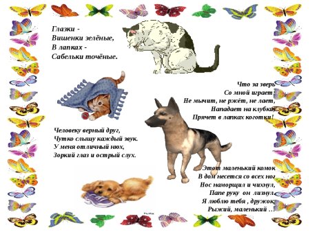 Собака самый преданный друг человека