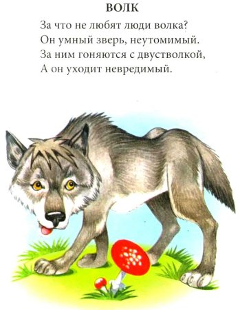 Собака самый преданный друг человека