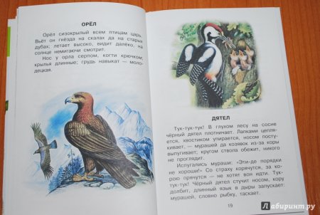 Ушинский рассказы о животных