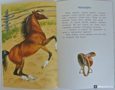 Ушинский конь