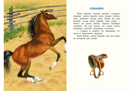 Ушинский к.д. "Бишка"