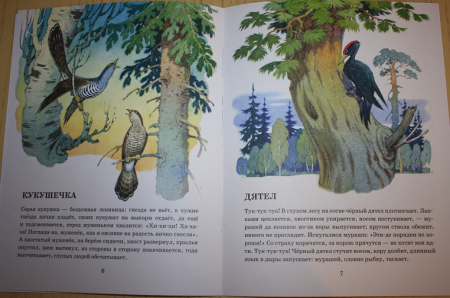 Ушинский дятел