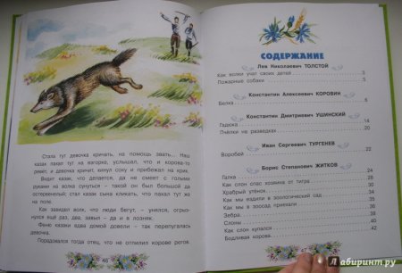 Житков рассказы о животных оглавление