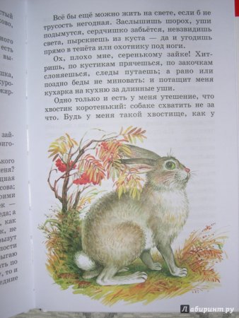 Стихи Ушинского