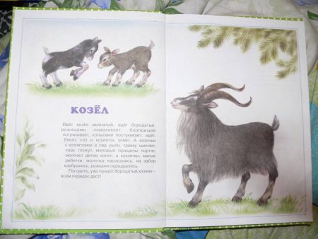 Сказка о домашних и диких животных