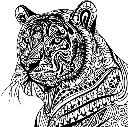 Тигр зенарт