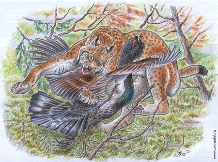 Вадим Горбатов Глухарь